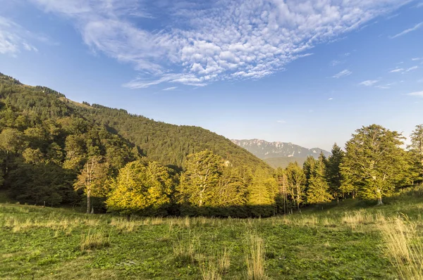 Yaz dağı manzarası
