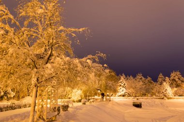 Akşamları karla kaplı kış parkı