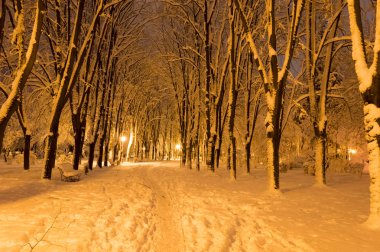 Akşamları karla kaplı kış parkı