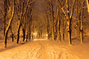 Akşamları karla kaplı kış parkı