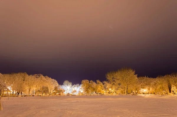 Zimní park ve večerních hodinách pokrytý sněhem — Stock fotografie