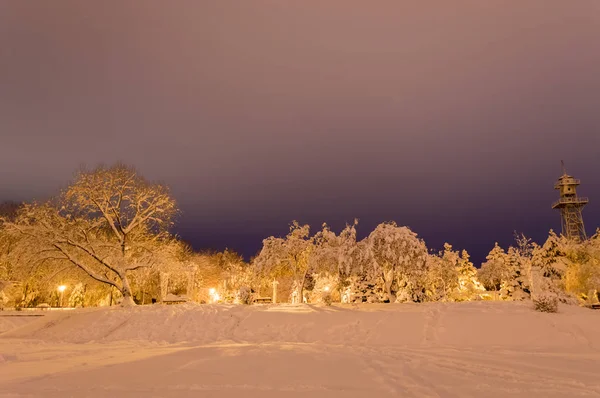 Akşamları karla kaplı kış parkı