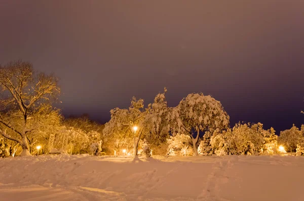 Akşamları karla kaplı kış parkı