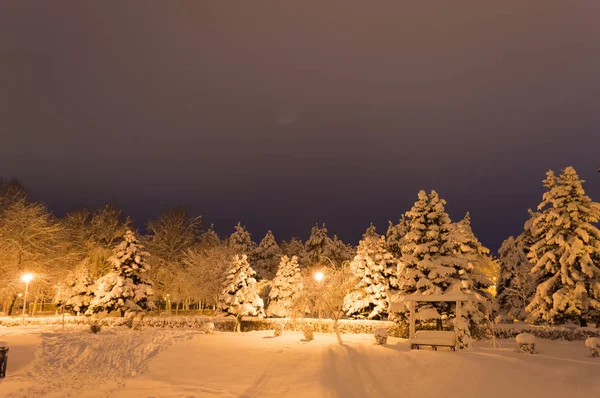 Akşamları karla kaplı kış parkı