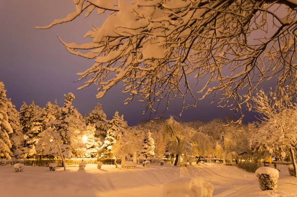 Akşamları karla kaplı kış parkı