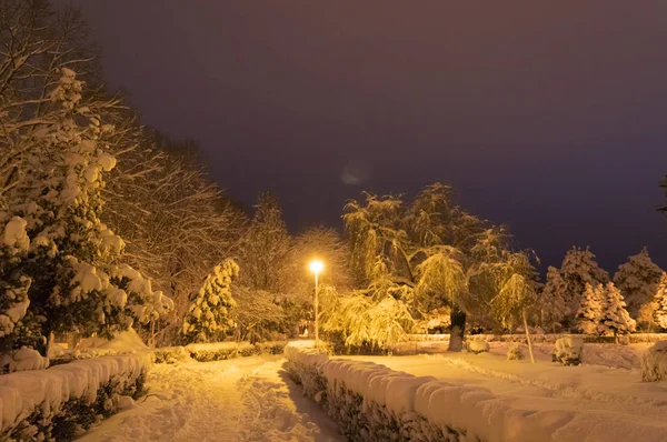 Winterpark am Abend mit Schnee bedeckt — Stockfoto