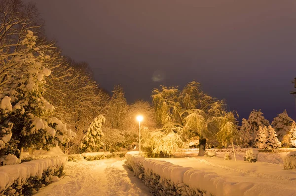 Winterpark in de avond bedekt met sneeuw Stockfoto