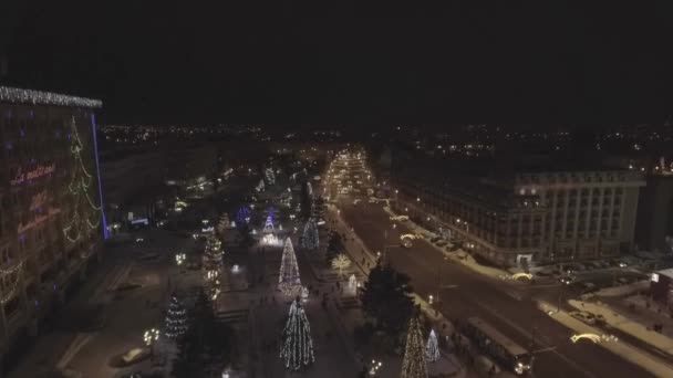 Arbres de Noël décorés et éclairés dans la ville — Video