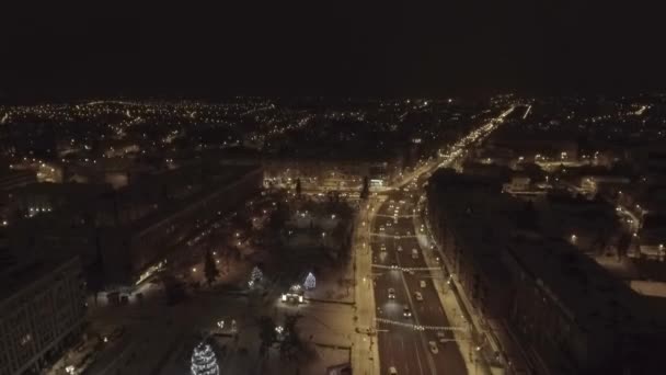 Árboles de Navidad adornados e iluminados en la ciudad — Vídeo de stock