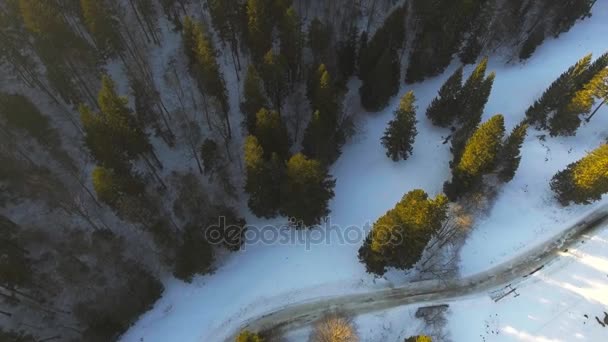 Flygfoto över vägen genom snön — Stockvideo