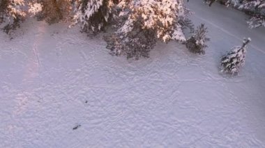 karla kaplı ağaçlar Şehir Parkı