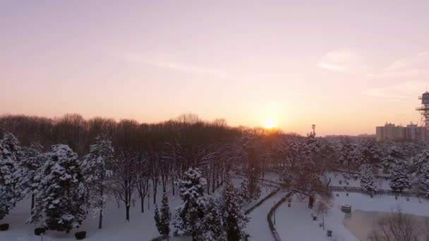 Solnedgång över stadsparken täckt med snö — Stockvideo