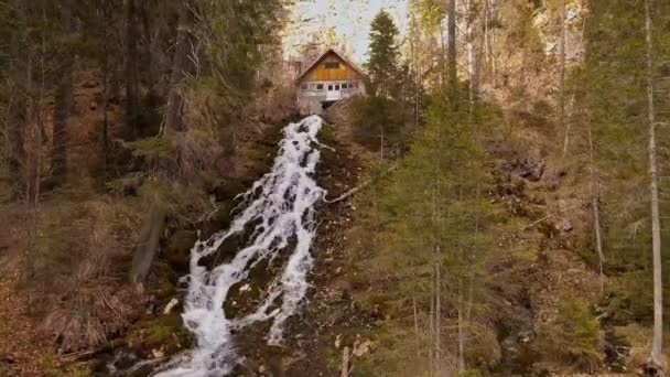 Corriente de montaña con cascada — Vídeo de stock