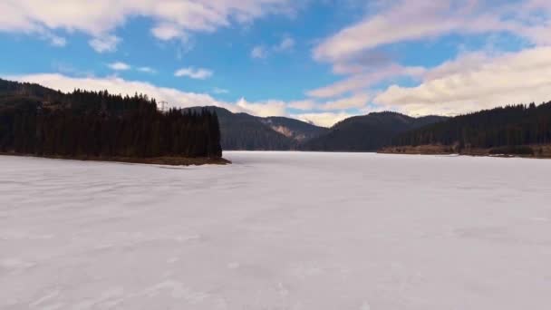 나무와 산 호수 Bolboci 눈 덮인 봉우리 — 비디오