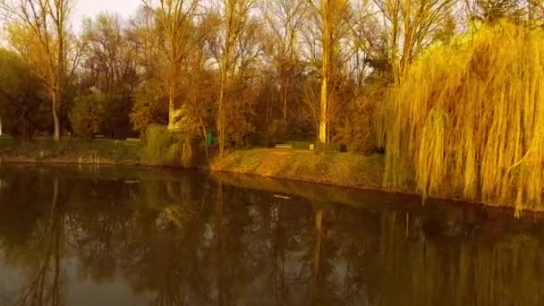 Sjön med pilträd vid solnedgången — Stockvideo