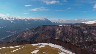 ağaçlar ve dağ ile karlı zirveleri