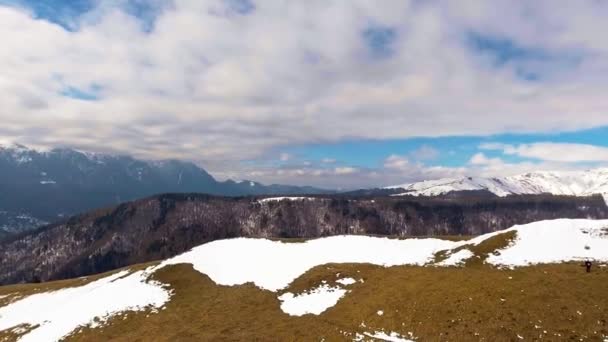 나무와 산의 눈 덮인 봉우리 — 비디오