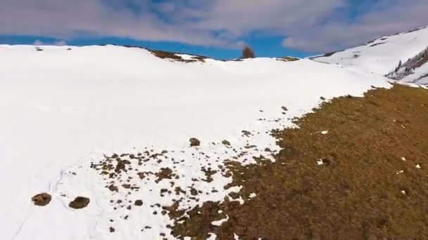 Besneeuwde toppen met bomen en berg — Stockvideo