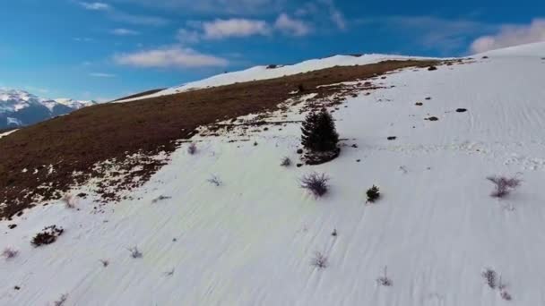 Засніжені вершини з деревами і горою — стокове відео