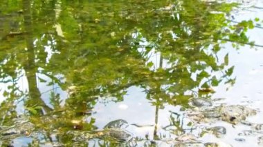 Şehirdeki kaldırımda yağmur birikintileri