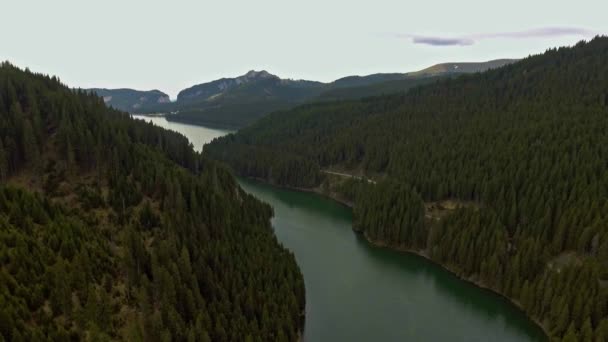 Tatarului rokle, Bucegi mountains — Stock video