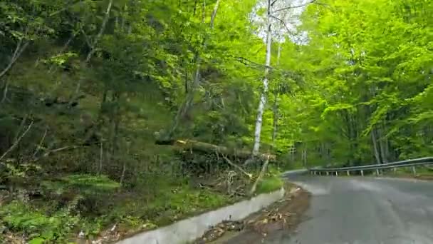 Весенняя дорога в горах — стоковое видео
