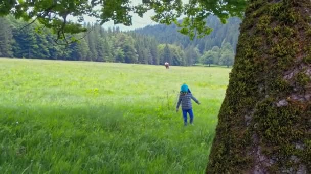 Niña jugando sobre hierba verde en las montañas — Vídeos de Stock