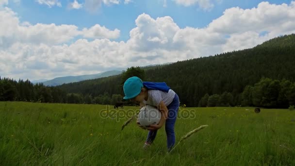Niña jugando sobre hierba verde en las montañas — Vídeos de Stock