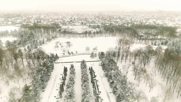 Aerial View Park Covered Snow — Stock video