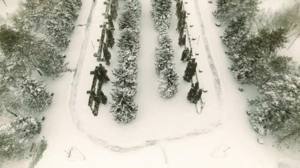 Aerial View Park Covered Snow — Stockvideo