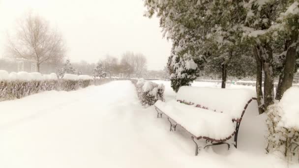 雪で覆われた公園のベンチ — ストック動画