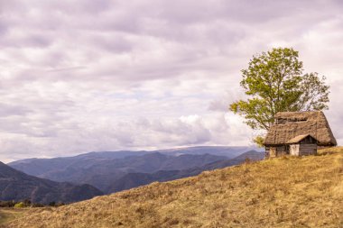 Dağda sazdan çatılı küçük ahşap bir ev