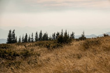 Dağdaki sonbahar manzarası