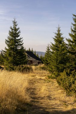 Dağ çatısında ahşap kiremitli kamara