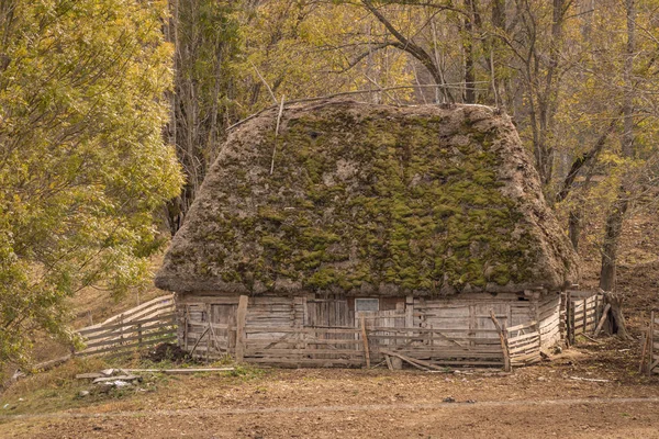 Kleines Holzhaus mit Reetdach im Gebirge — Stockfoto