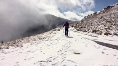 Yürüyüşçü ve Köpek Yolda, dağlarda, karlarda, bulutların üzerinde