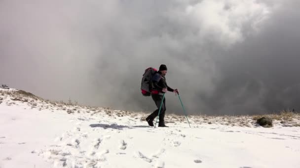 Escursionista Cane Che Cammina Sentiero Montagna Neve Sopra Nuvole — Video Stock