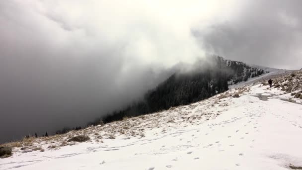 徒步旅行者和狗走在一条小径上 在高山上 在雪中 在云彩之上 — 图库视频影像