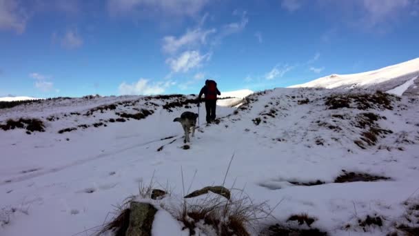 Πεζοπόρος Και Σκύλος Περπατώντας Ένα Μονοπάτι Βουνά Χιόνι Πάνω Από — Αρχείο Βίντεο