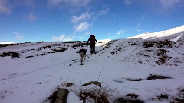 徒步旅行者和狗走在一条小径上 在高山上 在雪中 在云彩之上 — 图库视频影像