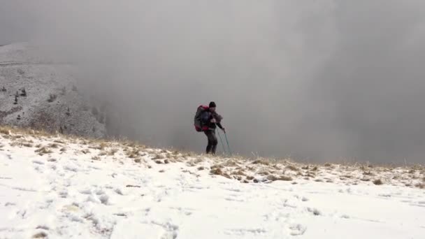 Wandelaar Hond Wandelen Een Pad Bergen Sneeuw Wolken — Stockvideo