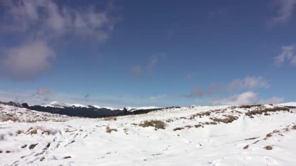 Caminhante Cão Caminhando Caminho Montanhas Neve Sobre Nuvens — Vídeo de Stock