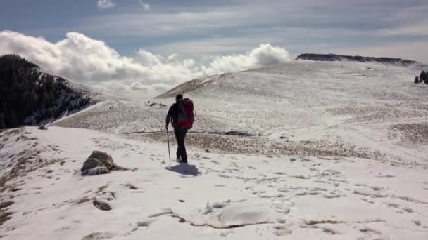 Caminante Perro Caminando Por Sendero Las Montañas Nieve Sobre Las — Vídeo de stock