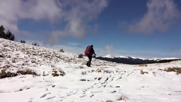 徒步旅行者和狗走在一条小径上 在高山上 在雪中 在云彩之上 — 图库视频影像