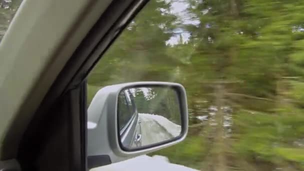 Conducir Coche Todoterreno Camino Tierra Del Bosque Vista Del Espejo — Vídeos de Stock