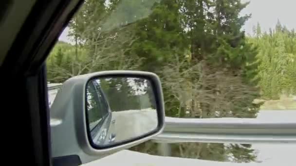 Condução Road Car Estrada Terra Floresta Vista Espelho — Vídeo de Stock