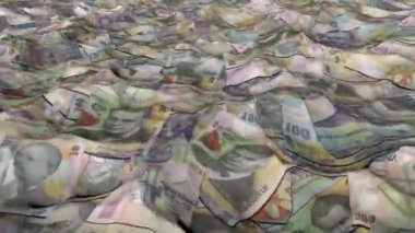 Viruses diving in an ocean of money