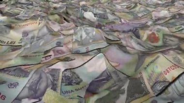 ocean of money changing from RON to EURO