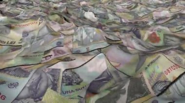 ocean of money changing from RON to USD