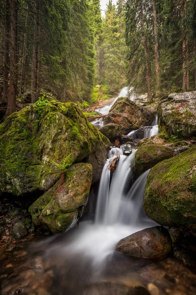 Cascata nella foresta primaverile — Foto Stock